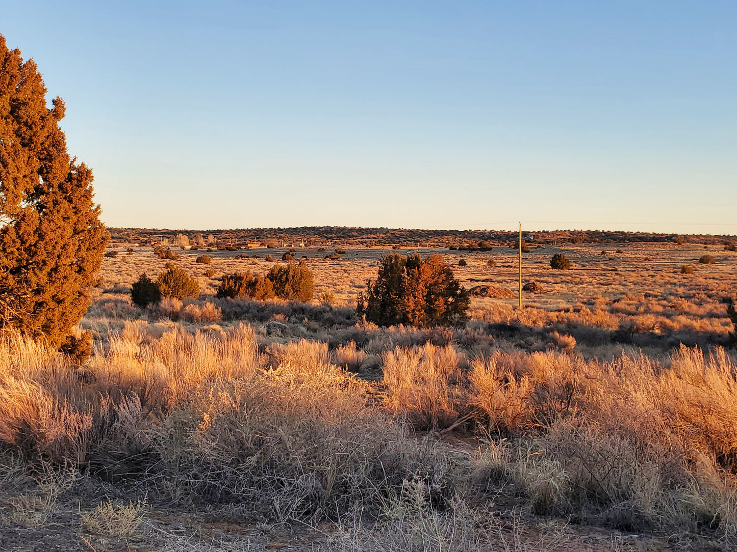 Own a piece of the Southwest with land featuring the unique landscapes of Arizona.