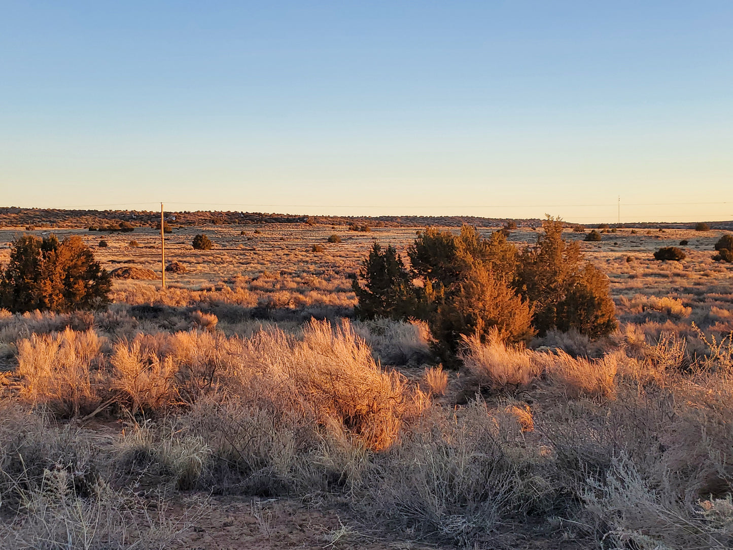 Explore Arizona's beauty with this prime land offering stunning desert views.