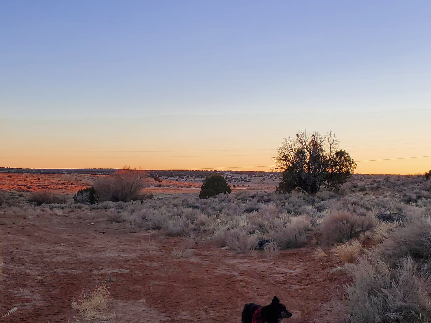 Southern Colorado's dream location: land with panoramic mountain views near the Rio Grande River.