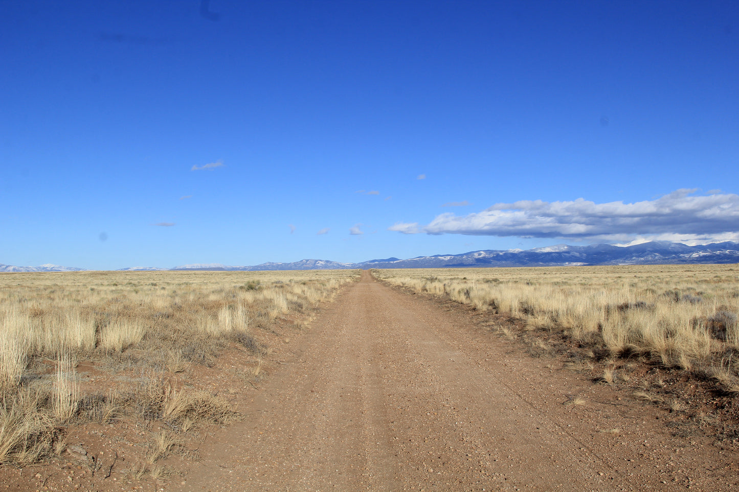 Escape to Southern Colorado's natural beauty – land with mountain views and Rio Grande River access