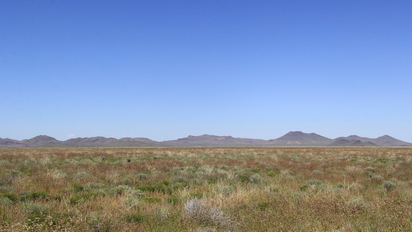 Experience the beauty of Southern Colorado's landscapes, featuring mountains and the Rio Grande River