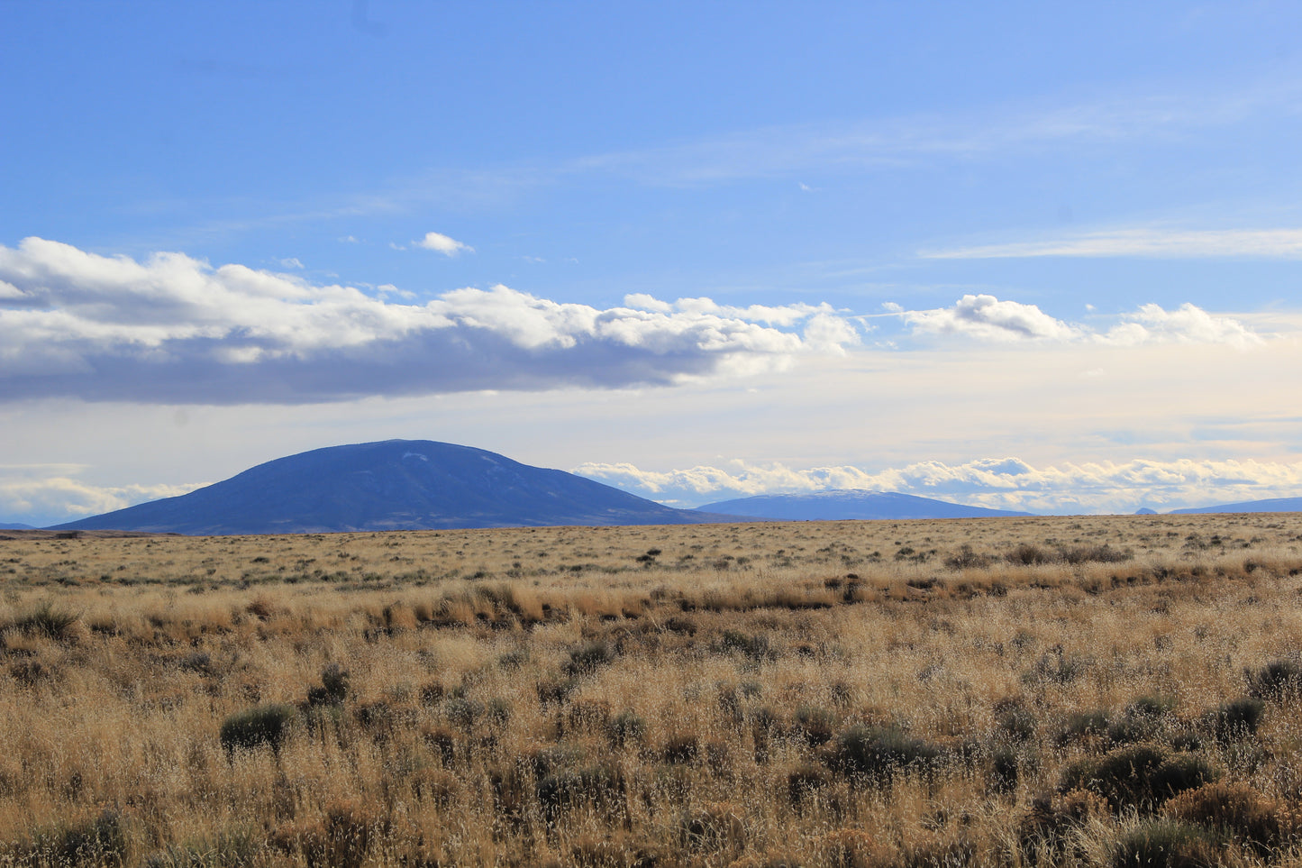 A picturesque retreat awaits with mountain views and proximity to the Rio Grande River in Southern Colorado