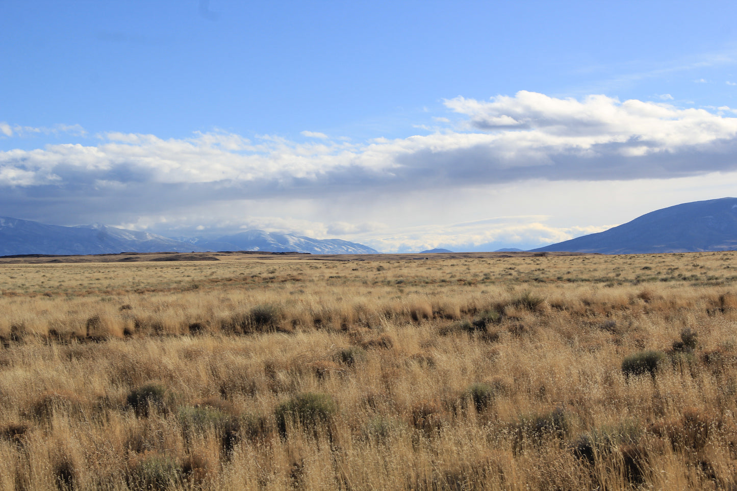 Explore Southern Colorado's charm from your own piece of land with mountain views and Rio Grande River nearby.